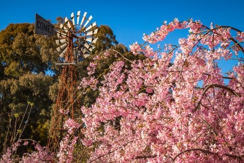 Botanical Gardens